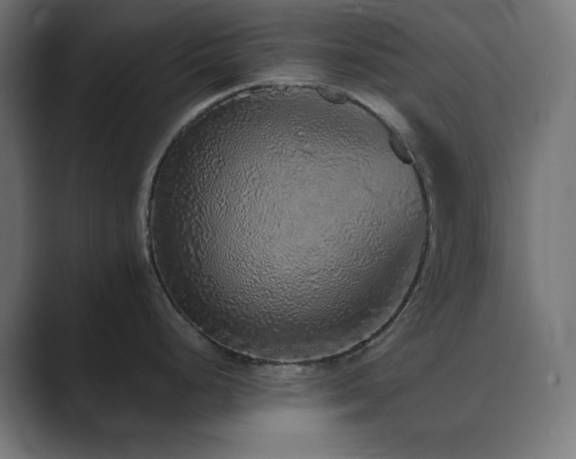 X0000089961248200706291224