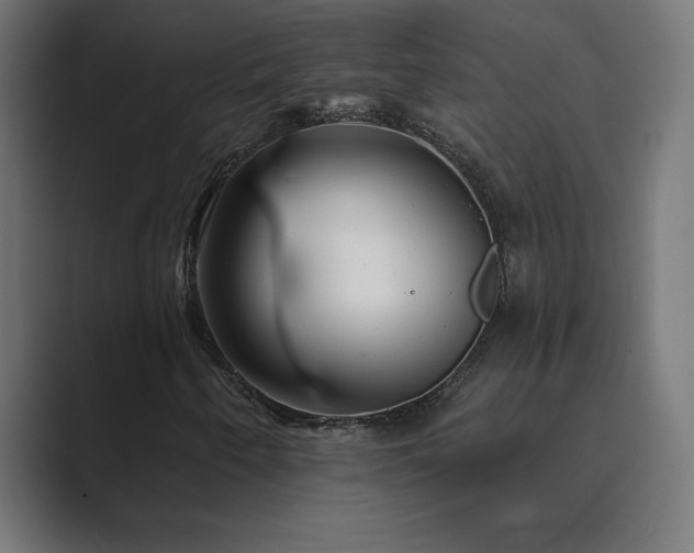 X0000089961250200706291223