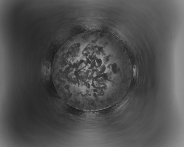 X0000089961251200706291223