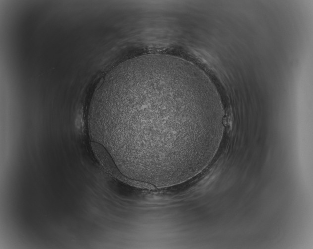 X0000089961252200706291223