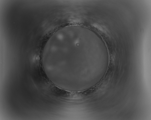 X0000089961254200706291223