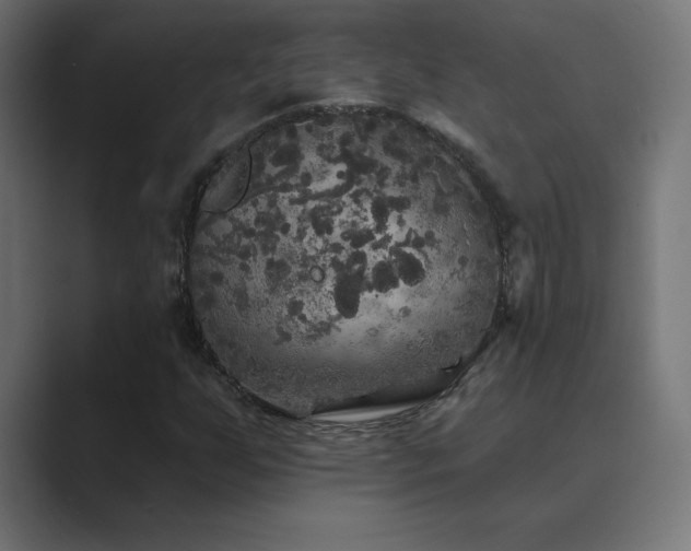 X0000089961255200706291223