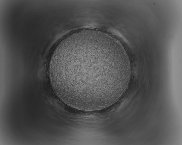 X0000089961256200706291223
