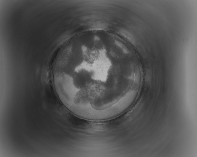 X0000089961258200706291223
