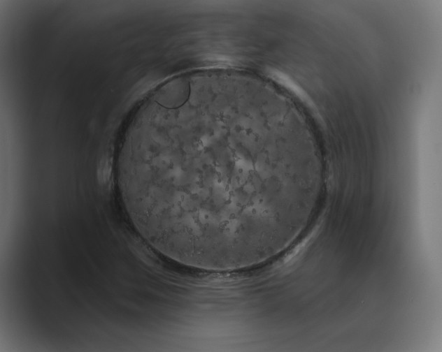X0000089961259200706291223