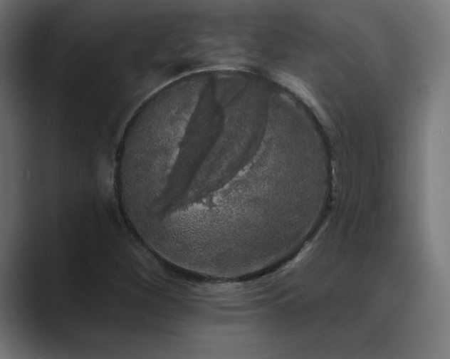 X0000089961260200706291223