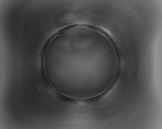 X0000089961263200706291223