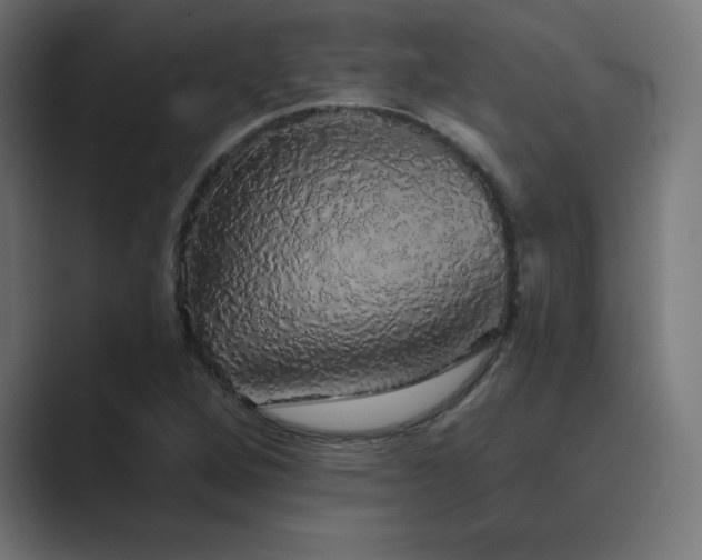 X0000089961264200706291223