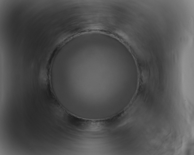 X0000089961266200706291223