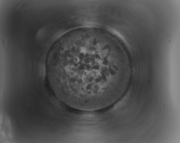 X0000089961267200706291223
