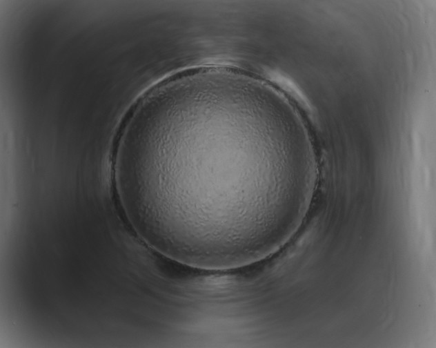 X0000089961268200706291223