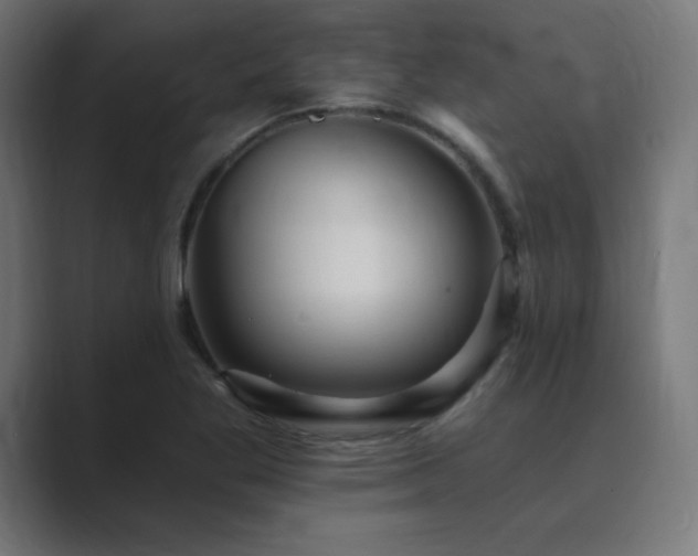 X0000089961269200706291223