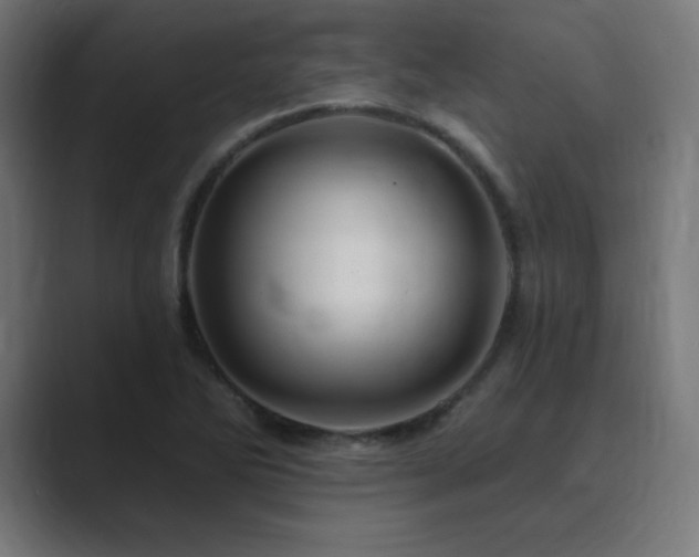 X0000089961270200706291223