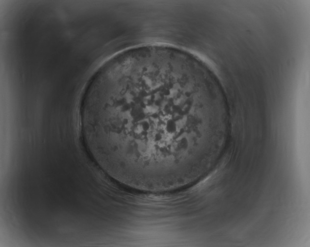 X0000089961271200706291223