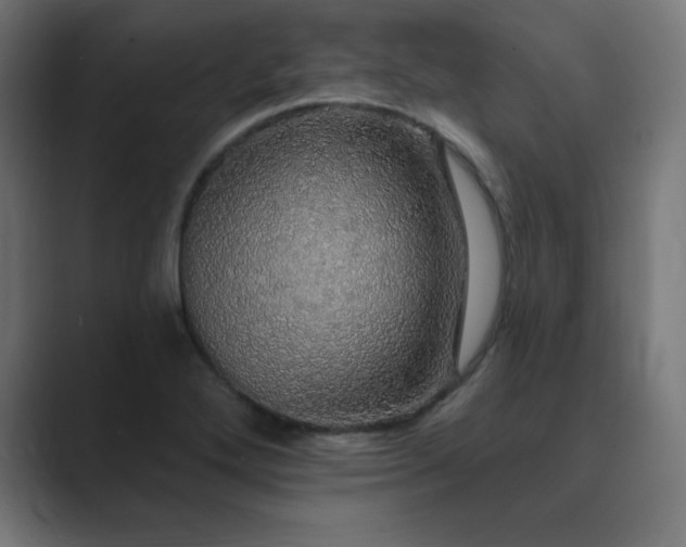 X0000089961272200706291223