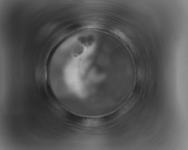 X0000089961274200706291223