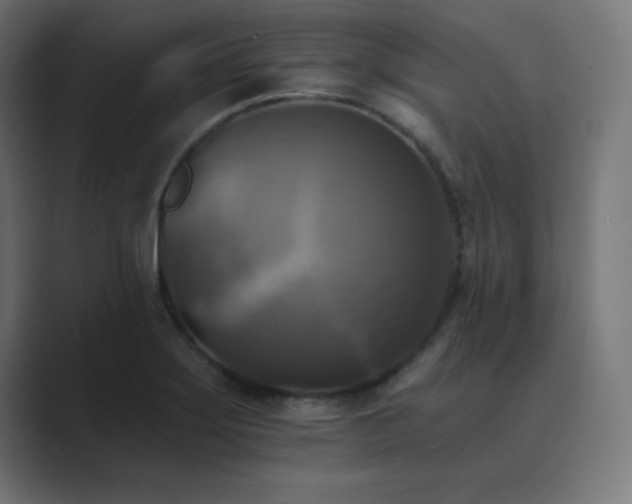 X0000089961275200706291223