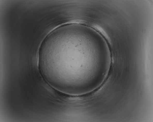 X0000089961276200706291223