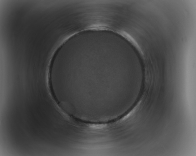 X0000089961277200706291223