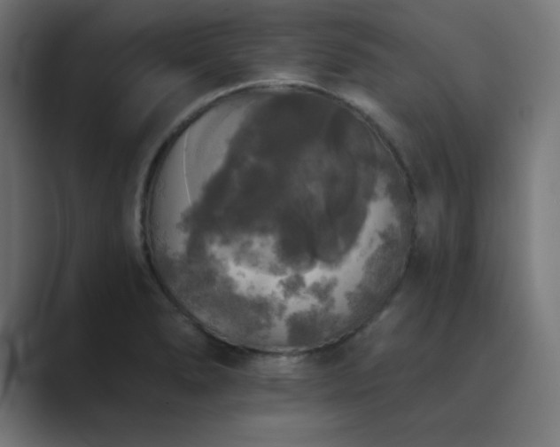 X0000089961278200706291223
