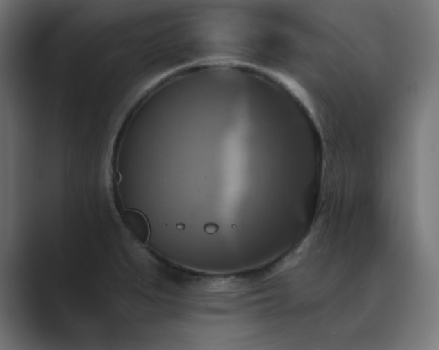 X0000089961279200706291223