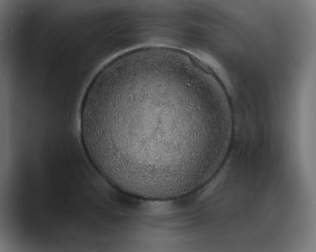 X0000089961280200706291223