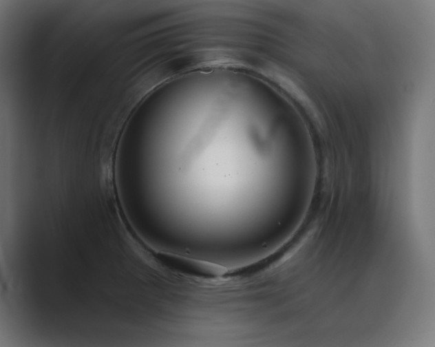 X0000089961281200706291223