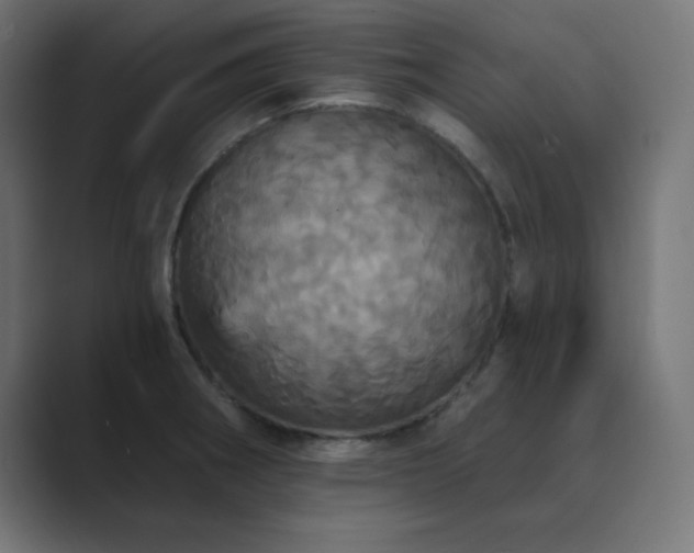 X0000089961282200706291223