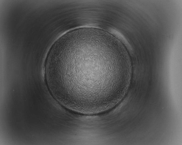X0000089961284200706291223