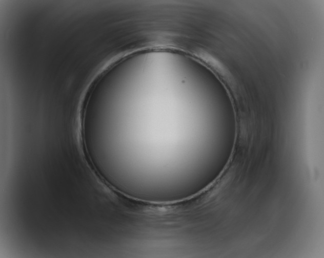 X0000089961286200706291223