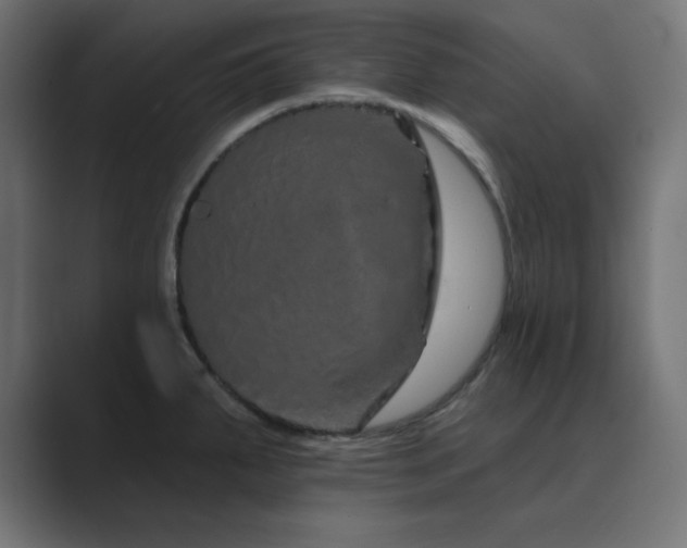 X0000089961287200706291223