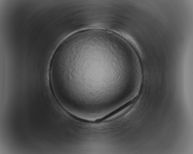 X0000089961288200706291223