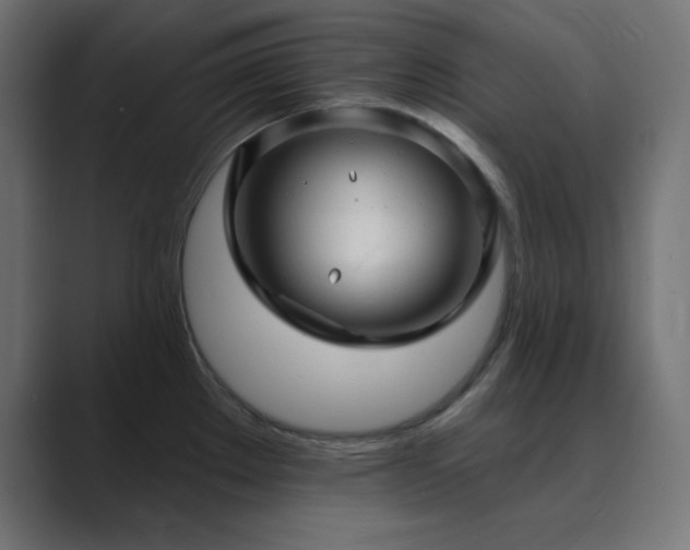 X0000089961289200706291223