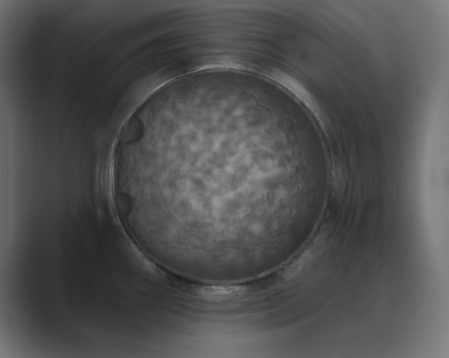 X0000089961290200706291223
