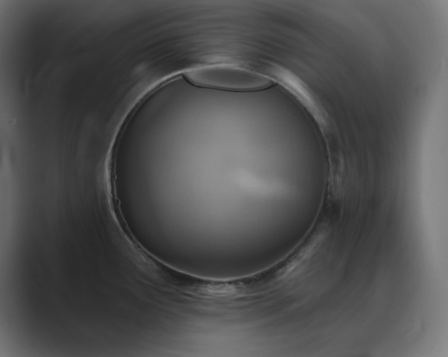 X0000089961291200706291223
