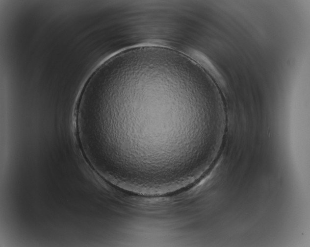 X0000089961292200706291223