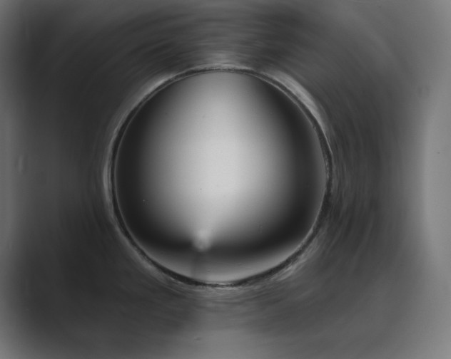 X0000089961293200706291223