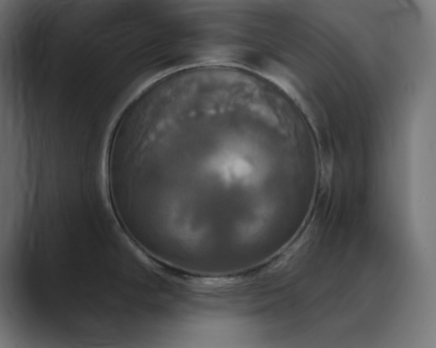 X0000089961294200706291223