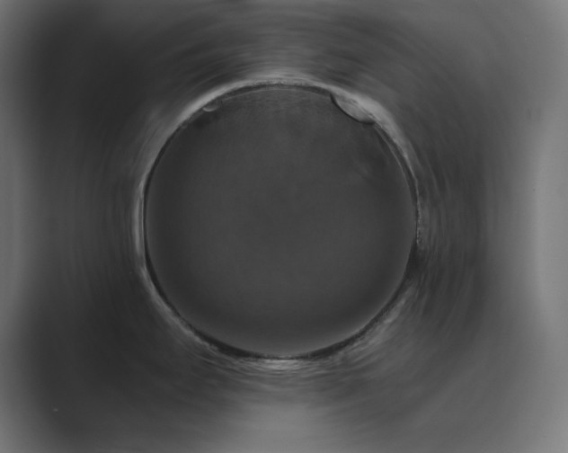 X0000089961295200706291223