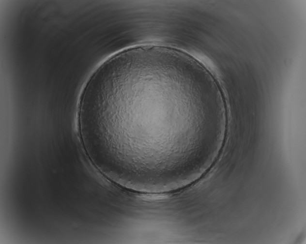X0000089961296200706291223
