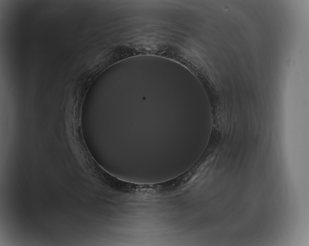 X0000089961297200706291222