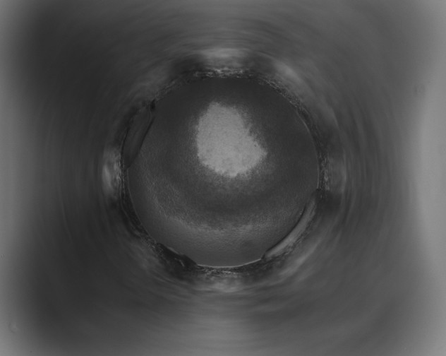 X0000089961298200706291222