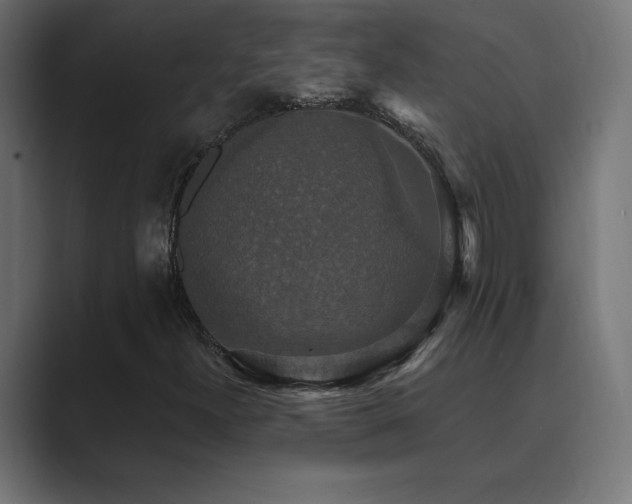 X0000089961300200706291222