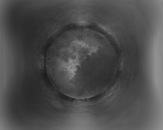 X0000089961301200706291222
