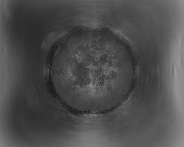 X0000089961302200706291222