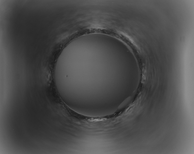 X0000089961303200706291222
