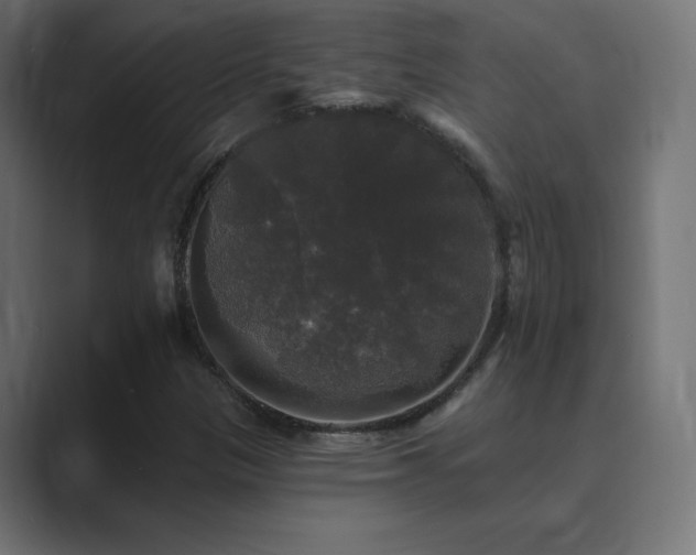 X0000089961305200706291222