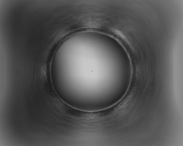 X0000089961307200706291222