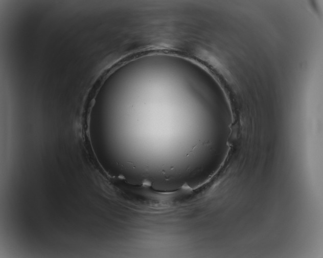 X0000089961308200706291222