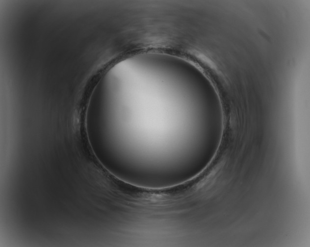X0000089961309200706291222
